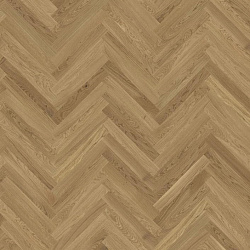 CD матовый - Oak CD matt lacquer HB