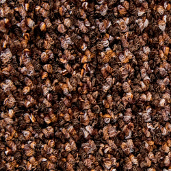 Покрытие ковровое Brazil 880