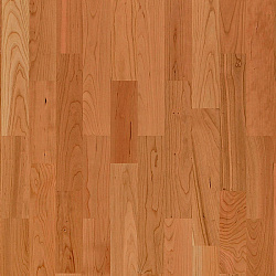 Вишня Саванна