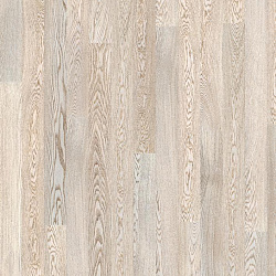 OAK STORY 138 SNOWFALL