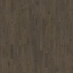 CHARCOAL LIGHT STRIP