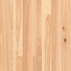 ASH PREMIUM 138 ROYAL WHITE 5G