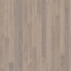 OAK 4 STORY 138 FROSTBITE