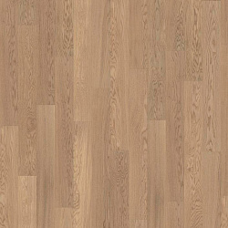 OAK 4 STORY 138 TENDER WHITE