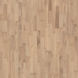 Дуб Перистое Облако