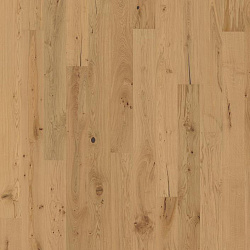 Козенца  COSENZA