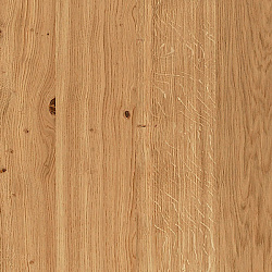 Дуб Хемпшир