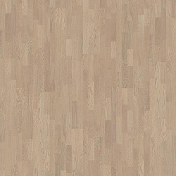 Сумерки TWILIGHT