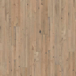 Анзиано ANZIANO 