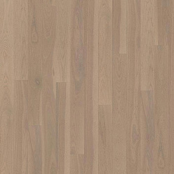 ASH STORY 138 OCEAN BREEZE