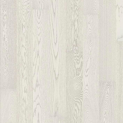 OAK STORY 138  ELECTRIC LIGHT 5G