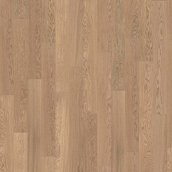 OAK STORY 138 TENDER WHITE 5G