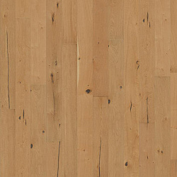 OAK STORY 187 CASK 5G