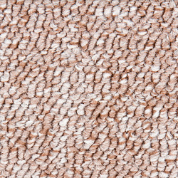 Покрытие ковровое Forza 172