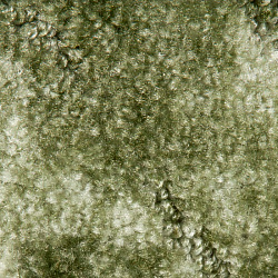 Покрытие ковровое Tango 20