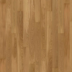 OAK STORY 138 ELEGANT  5G