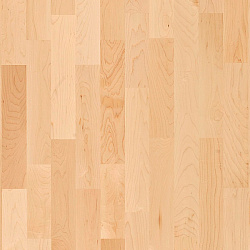 Клен Торонто