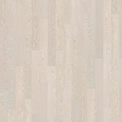OAK STORY 138 POLAR WHITE 5G
