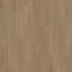 Butterscotch 2-х полосный