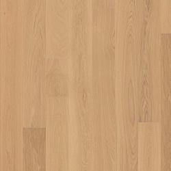 OAK STORY NATUR NEW ARCTIC 5G