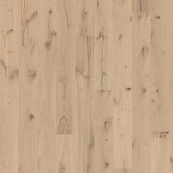 Паллидо PALLIDO