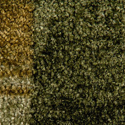 Покрытие ковровое Tibet 29