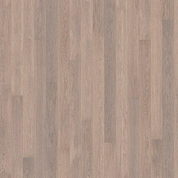 OAK STORY 138 FROSTBITE 5G  