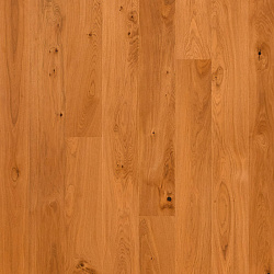 OAK PREMIUM 138 NOBLE BROWN  5G