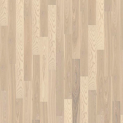 ASH 4 STORY 138 WHITE ORCHID