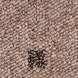 Покрытие ковровое Vegas 1012