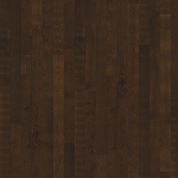 Кьюрио     CURIO